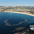 Bondi Beach