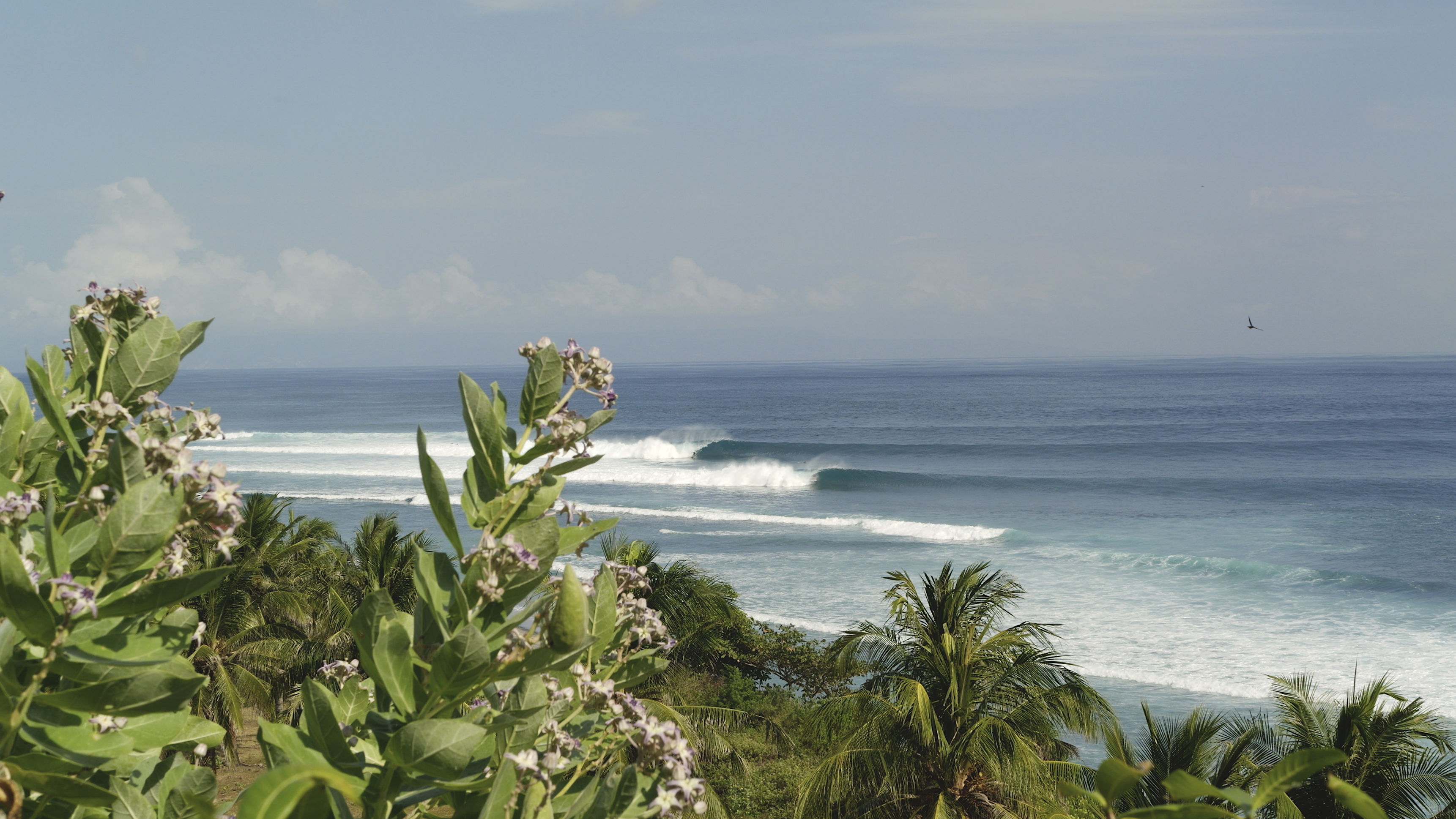 Desert Point©Alex Ribas2