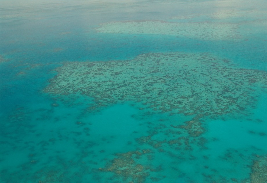 Great Barrier Reef 261707 1920 (1)