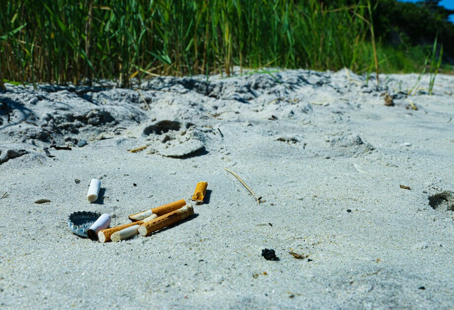 Cigarros