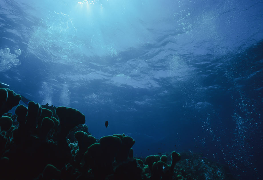 Australia Mar De Coral