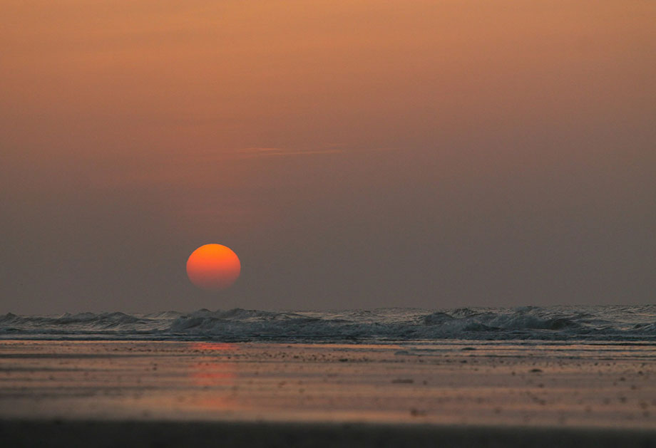 Sol (1)