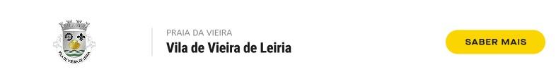 20.Desktop Vieira F