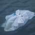 plastico mar