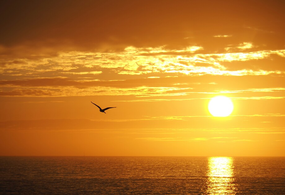 Sol