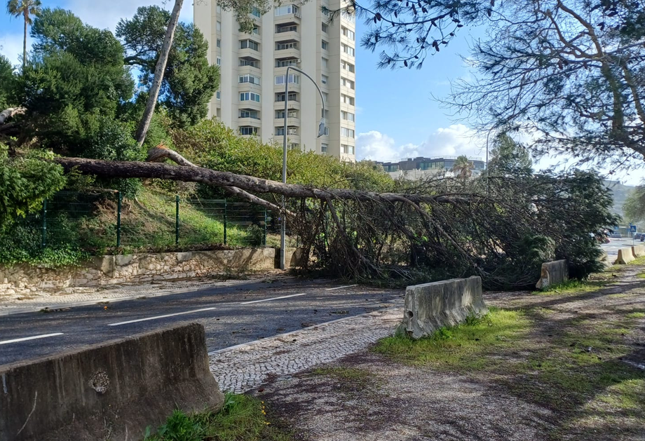 Oeiras (1) (1)
