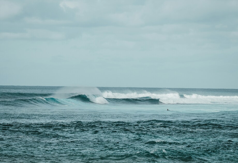 Jamie Curd Yzyryl2hin0 Unsplash