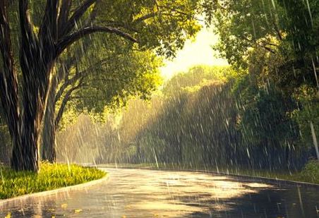 Chuva Verao