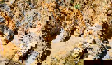 Praia do Valentim de Carvalho