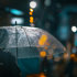Chuva (2)