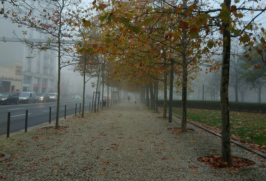 Chuva