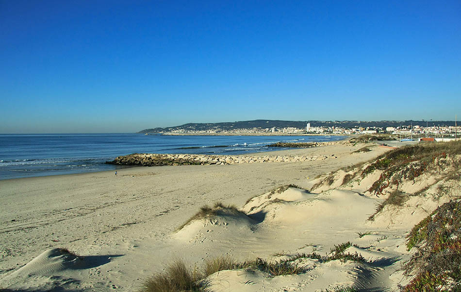 Gala Figueira