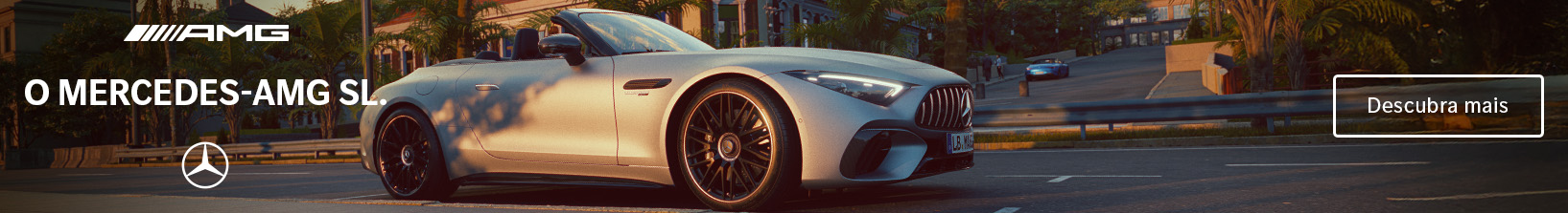 AMG SL Beachcam 1635X223