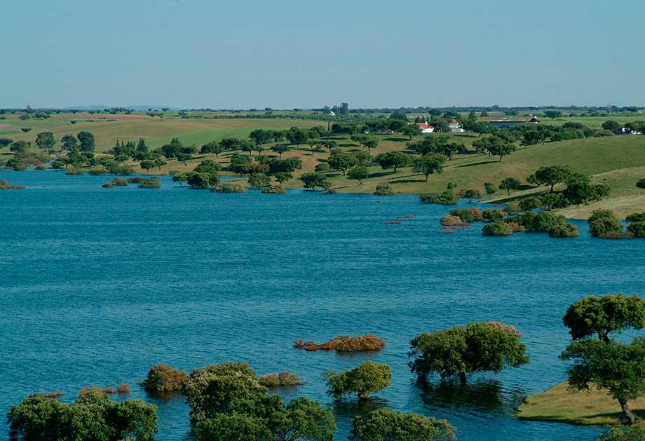 Agua