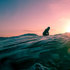 Quiver Go