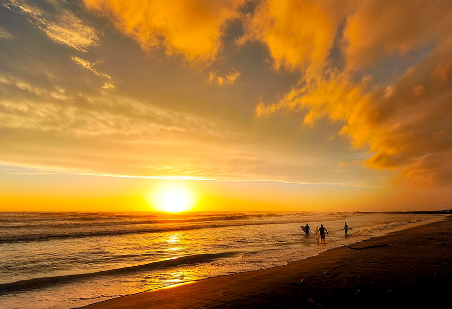 Surf (1)