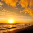 Surf (1)