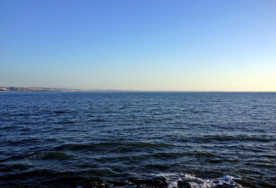 Tejo