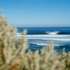 Margaret River