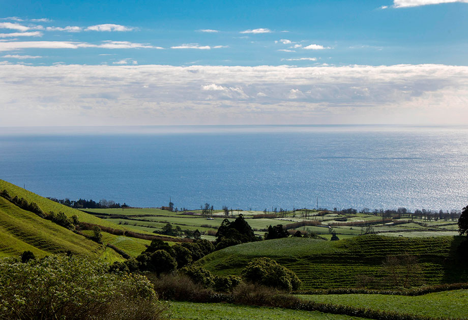 Acores